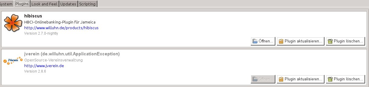 jverein_Fehler.jpg